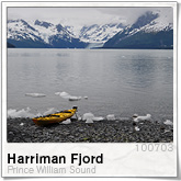 Prince William Sound