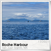 Roche Harbour